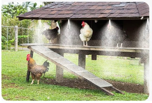 Operation Coop Chill: Keeping Your Flock Cool During a Heatwave