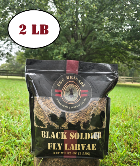 Black Soldier Fly Larvae - 2 lb