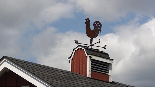 Storm Recovery: How to Restore Routine After Bad Weather