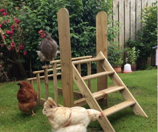 Flock Fitness: Fun & Easy Games to Keep Your Chickens Happy
