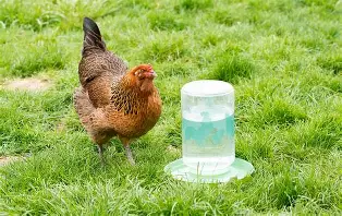 Hydration with Seasonal Changes: Egg Brigade's Fall Series