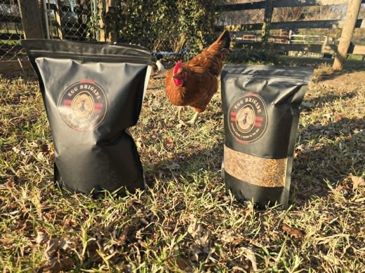 chicken in front of Egg Brigade Black Soldier Fly Larvae bags