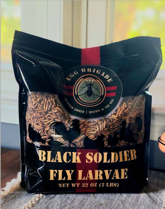 Black Soldier Fly Larvae - 2 lb New bag