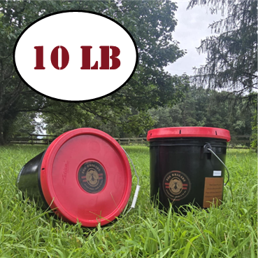 Black Soldier Fly Larvae - 10 lb