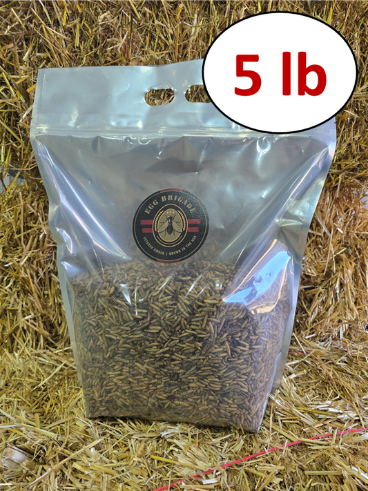 Black Soldier Fly Larvae - 5 lb